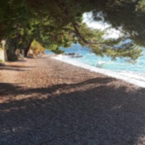 IMG-20250430-WA0125